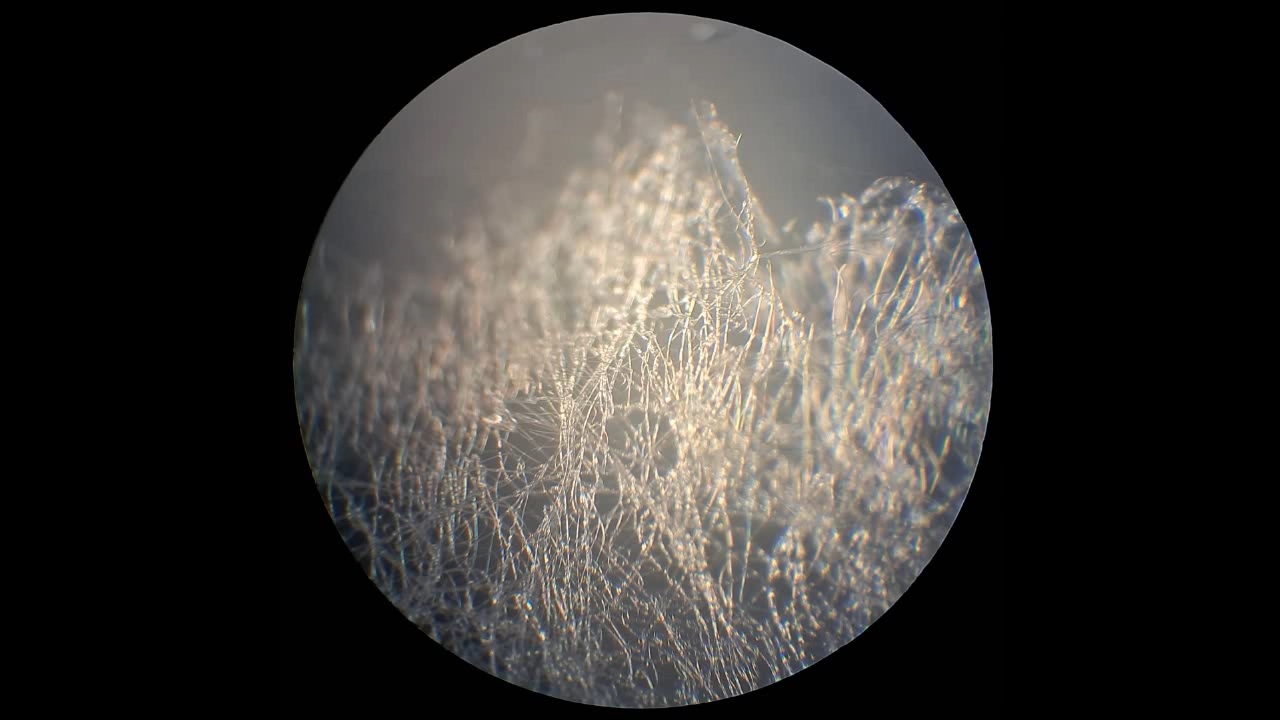 Electrospinning: Solution of Polystyrene in Methylene Chloride